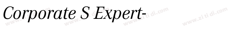 Corporate S Expert字体转换